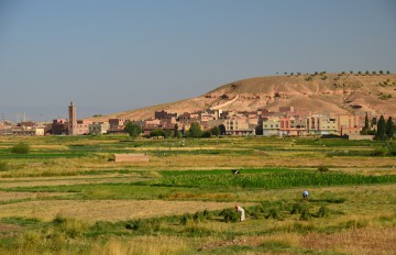 Midelt Marokko Felder vor der Stadt
