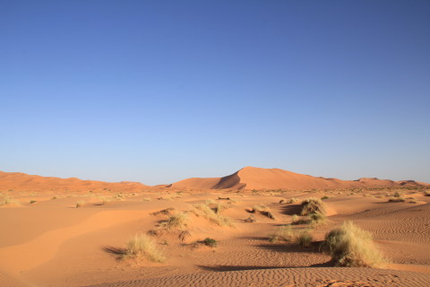 Dünenpanorama Erg Chebbi