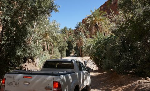 Marokko Palmenstrecke nach Tafraoute