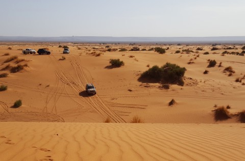 Maroc-Voyage Teilnehmer fahren auf hohe Düne Erg Chebbi