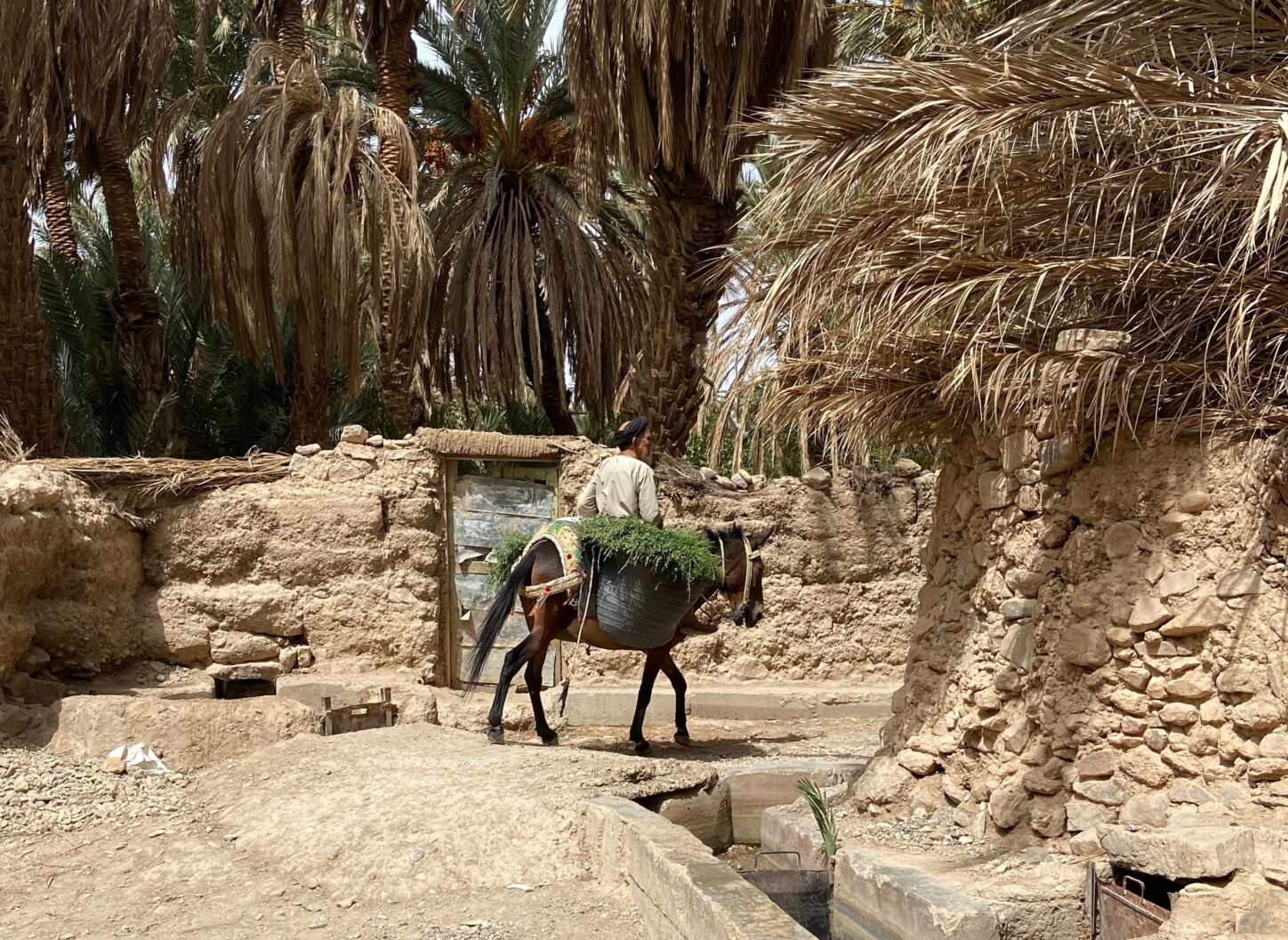 Maroc-Voyage, Marokko offroad