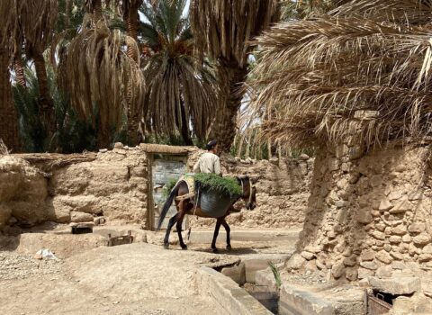 Maroc-Voyage, Marokko offroad
