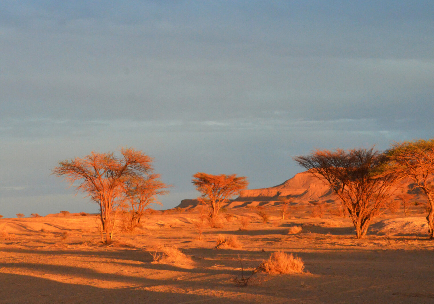 Maroc-Voyage Marokko offroad