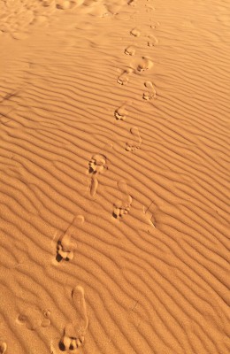 Fußspuren im Sand Marokko