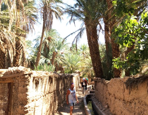 Palmengarten Icht Marokko