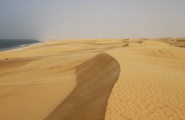 Dünen am Strand Atlantik