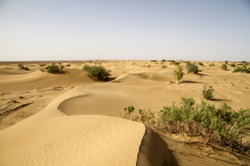 Dünenlandschaft im Erg Chebbi Marokko